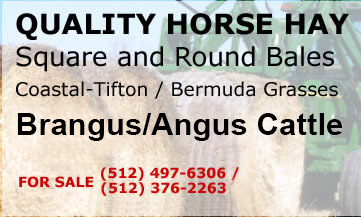 Quality Horse Hay, Tifton / Bermuda Grasses, & Brangus Cattle